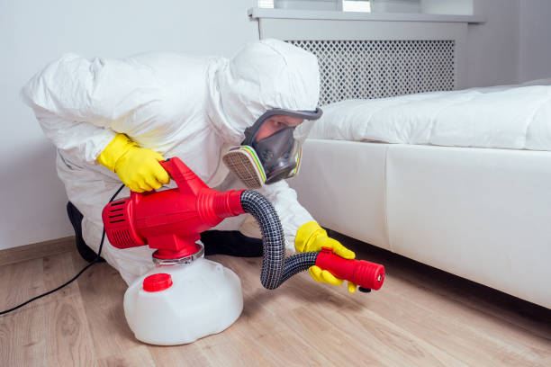 Best Pest Prevention Services  in Walhalla, SC